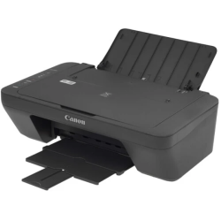 МФУ струйный Canon Pixma MG2546S 